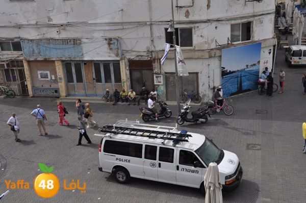 mina2yaffan51i (7).JPG